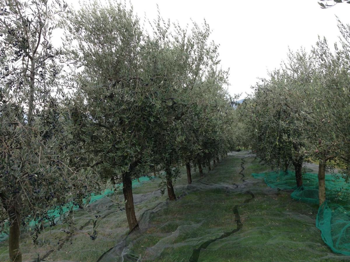 Agrialpi By Salfrutta Bed & Breakfast Bricherasio Luaran gambar