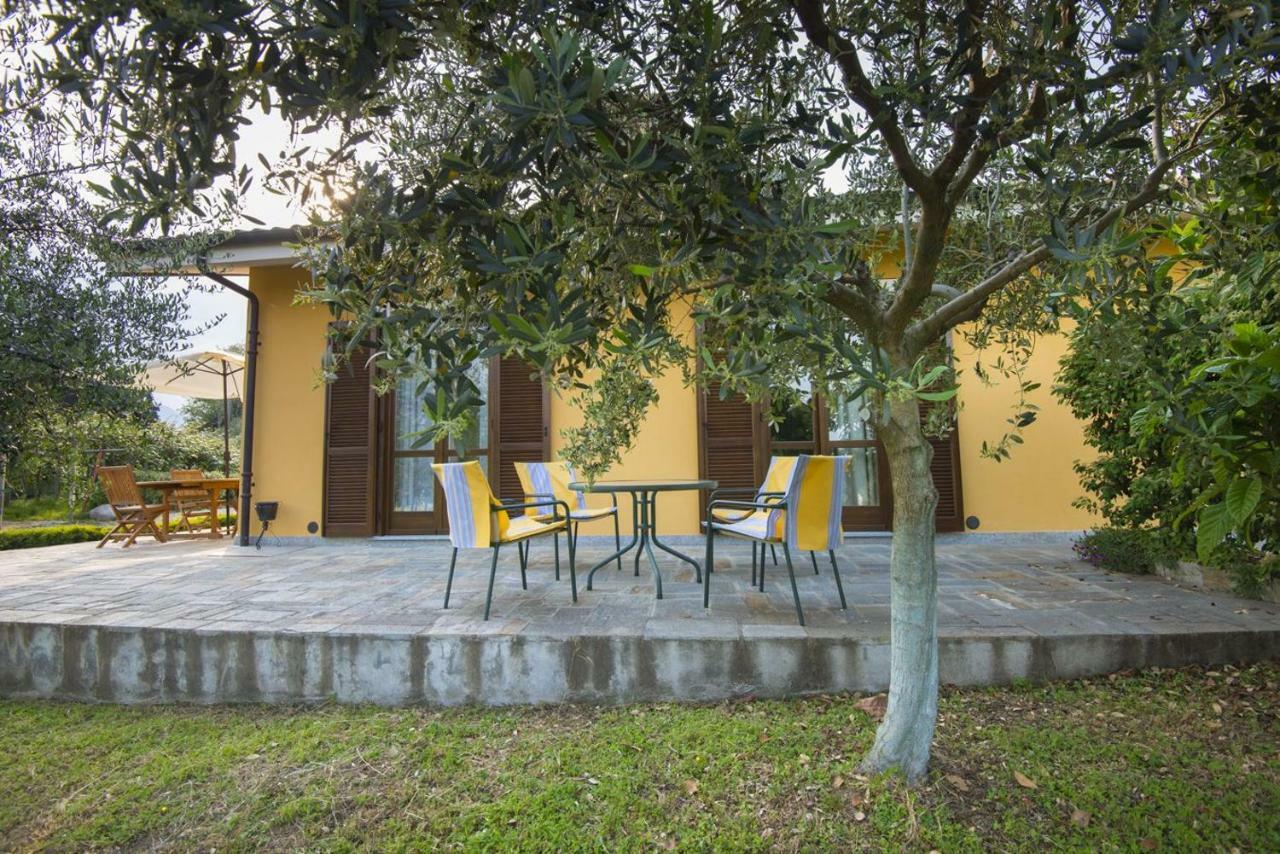 Agrialpi By Salfrutta Bed & Breakfast Bricherasio Luaran gambar